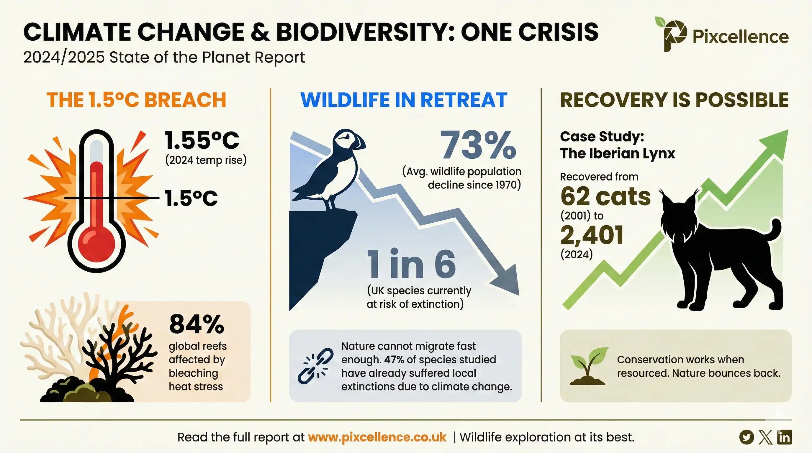 Impact of Rising Temperatures on the Ecosystems