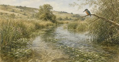 Thorburn-style watercolour of a clear English chalk stream with a brown trout, water crowfoot and a kingfisher