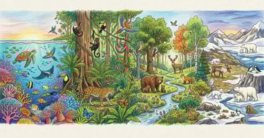 Vibrant panorama of global biodiversity showing interconnected ecosystems from coral reefs to tropical rainforest, temperate woodland, and arctic tundra with diverse wildlife