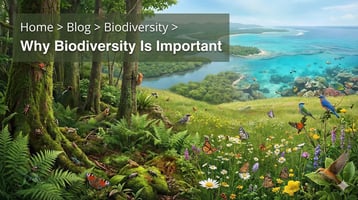 Why biodiversity is important