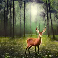 Why is biodiversity important