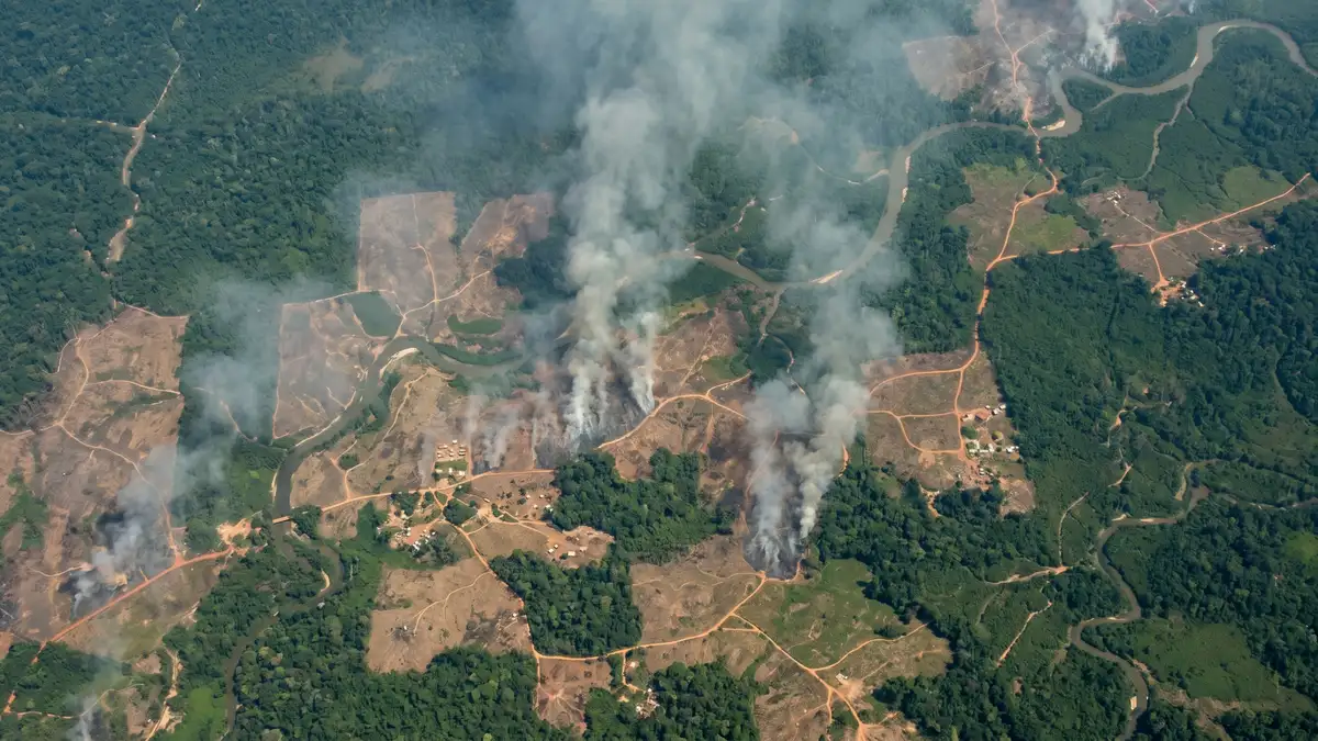 Satellite view of tropical deforestation showing smoke rising from burning forest clearings alongside intact rainforest patches