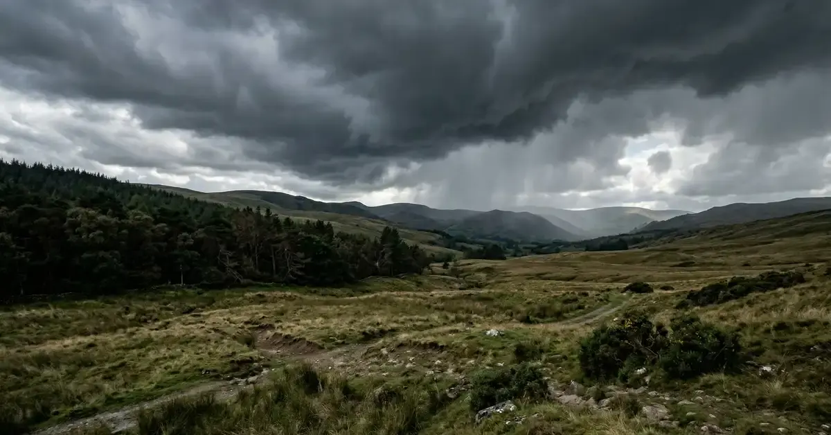 Climate change impacts visualization showing temperature anomaly, altered weather patterns, and ecosystem responses including species range shifts and flowering phenology changes in UK habitats